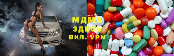 ПСИЛОЦИБИНОВЫЕ ГРИБЫ Няндома