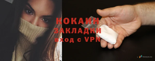 ПСИЛОЦИБИНОВЫЕ ГРИБЫ Няндома