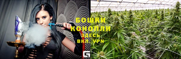 ПСИЛОЦИБИНОВЫЕ ГРИБЫ Няндома