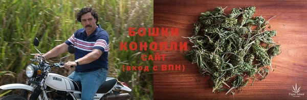 гидра Нягань
