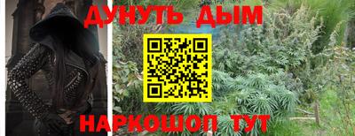 Альфа ПВП Дубна