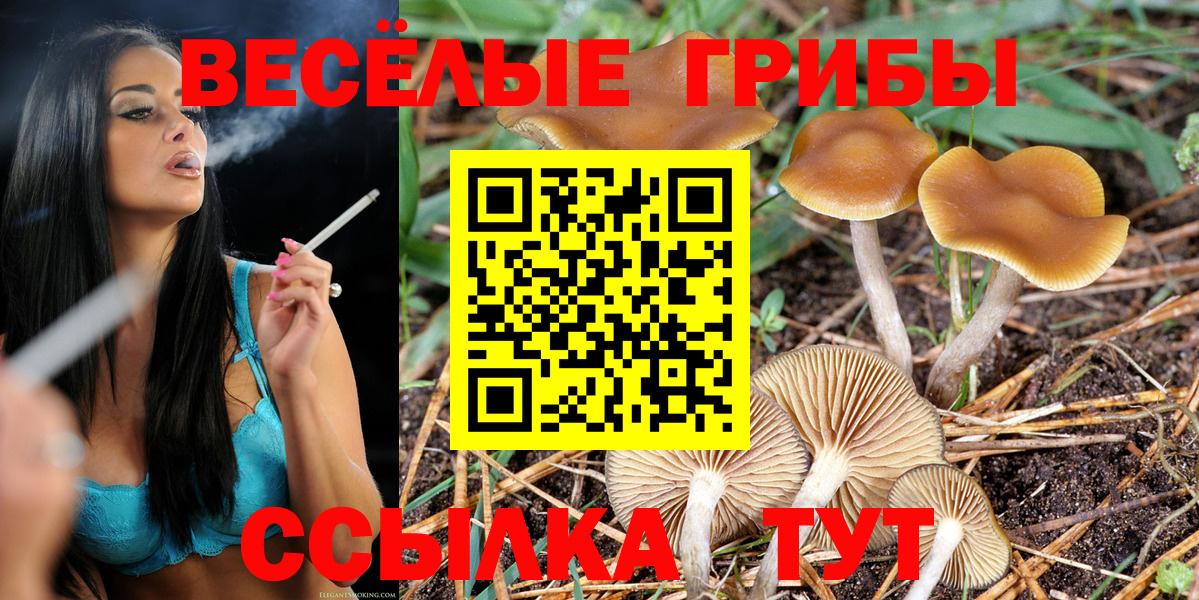 Псилоцибиновые грибы ЛСД Нягань